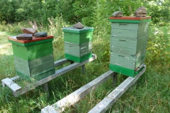 Bild16