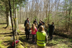 Bild18