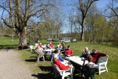 Bild19