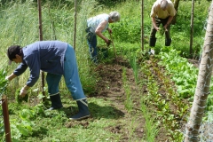 Bild5