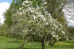 Bild9